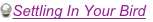 shapeimage_4_link_2
