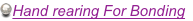 shapeimage_4_link_3