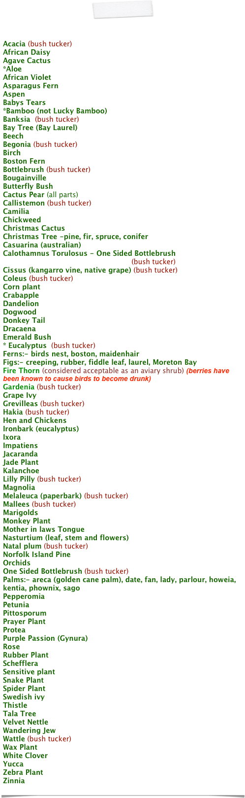 
 
 
Acacia (bush tucker) 
African Daisy
Agave Cactus
*Aloe 
African Violet
Asparagus Fern 
Aspen
Babys Tears 
*Bamboo (not Lucky Bamboo) 
Banksia  (bush tucker)
Bay Tree (Bay Laurel)
Beech
Begonia (bush tucker)
Birch 
Boston Fern 
Bottlebrush (bush tucker)
Bougainville
Butterfly Bush
Cactus Pear (all parts)
Callistemon (bush tucker) 
Camilia 
Chickweed 
Christmas Cactus 
Christmas Tree -pine, fir, spruce, conifer
Casuarina (australian) 
Calothamnus Torulosus - One Sided Bottlebrush                     
                                                           (bush tucker)
Cissus (kangarro vine, native grape) (bush tucker) 
Coleus (bush tucker)
Corn plant 
Crabapple 
Dandelion
Dogwood
Donkey Tail
Dracaena
Emerald Bush
* Eucalyptus  (bush tucker)
Ferns:- birds nest, boston, maidenhair
Figs:- creeping, rubber, fiddle leaf, laurel, Moreton Bay 
Fire Thorn (considered acceptable as an aviary shrub) (berries have been known to cause birds to become drunk) 
Gardenia (bush tucker)
Grape Ivy
Grevilleas (bush tucker)
Hakia (bush tucker)
Hen and Chickens
Ironbark (eucalyptus)
Ixora
Impatiens
Jacaranda
Jade Plant
Kalanchoe
Lilly Pilly (bush tucker)
Magnolia
Melaleuca (paperbark) (bush tucker) 
Mallees (bush tucker) 
Marigolds
Monkey Plant
Mother in laws Tongue
Nasturtium (leaf, stem and flowers)
Natal plum (bush tucker) 
Norfolk Island Pine
Orchids
One Sided Bottlebrush (bush tucker)
Palms:- areca (golden cane palm), date, fan, lady, parlour, howeia, kentia, phownix, sago
Pepperomia
Petunia
Pittosporum
Prayer Plant
Protea
Purple Passion (Gynura)
Rose
Rubber Plant
Schefflera
Sensitive plant
Snake Plant
Spider Plant
Swedish ivy
Thistle
Tala Tree
Velvet Nettle
Wandering Jew
Wattle (bush tucker)
Wax Plant
White Clover
Yucca
Zebra Plant
Zinnia