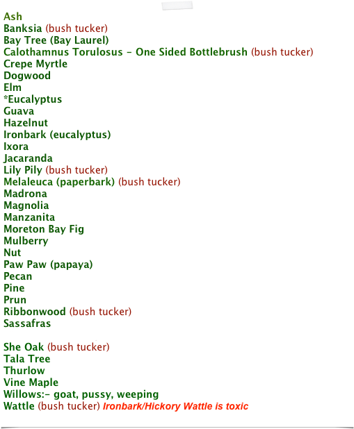 Ash 
Banksia (bush tucker)
Bay Tree (Bay Laurel)
Calothamnus Torulosus - One Sided Bottlebrush (bush tucker)  
Crepe Myrtle
Dogwood
Elm 
*Eucalyptus 
Guava 
Hazelnut
Ironbark (eucalyptus)
Ixora
Jacaranda 
Lily Pily (bush tucker) 
Melaleuca (paperbark) (bush tucker) 
Madrona
Magnolia 
Manzanita
Moreton Bay Fig
Mulberry
Nut
Paw Paw (papaya)
Pecan 
Pine
Prun
Ribbonwood (bush tucker) 
Sassafras
*Tea Tree, ***stripped of the leaves, foliage is toxic*** (bush tucker)  
She Oak (bush tucker)
Tala Tree
Thurlow
Vine Maple
Willows:- goat, pussy, weeping
Wattle (bush tucker) Ironbark/Hickory Wattle is toxic